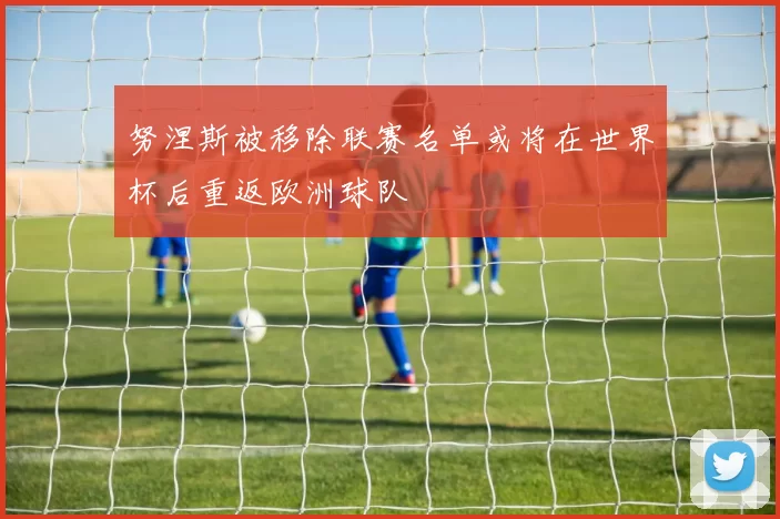 努涅斯被移除联赛名单或将在世界杯后重返欧洲球队